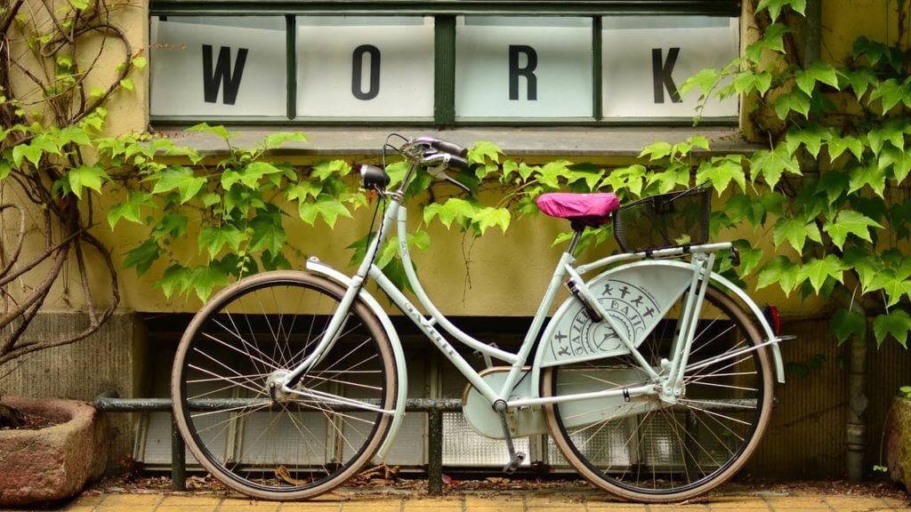 bike, bicycle, plants